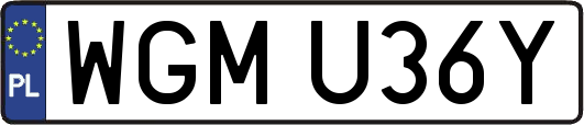 WGMU36Y