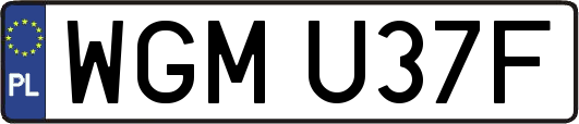 WGMU37F