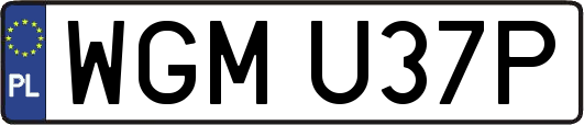 WGMU37P