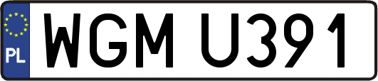 WGMU391