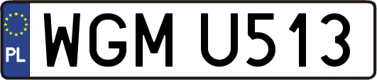 WGMU513
