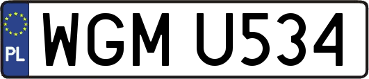 WGMU534