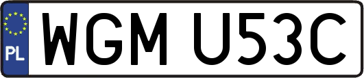 WGMU53C