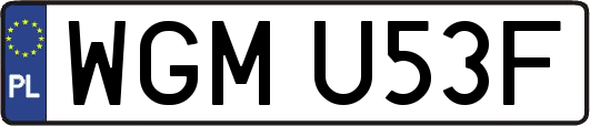 WGMU53F