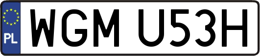 WGMU53H