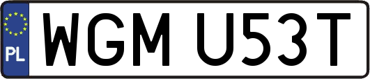 WGMU53T