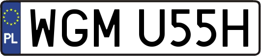 WGMU55H