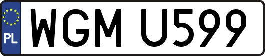 WGMU599