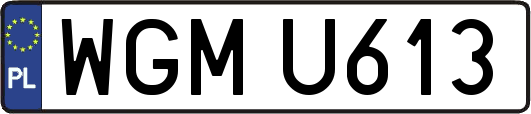 WGMU613