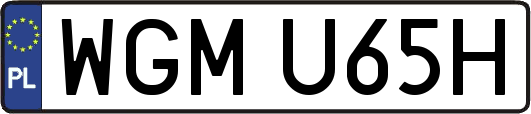 WGMU65H