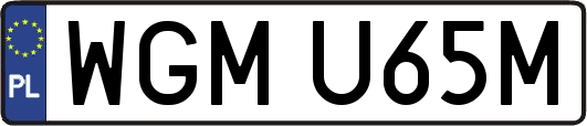 WGMU65M