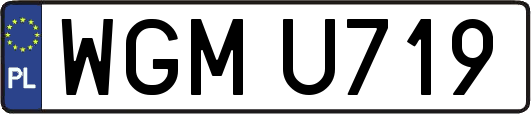 WGMU719