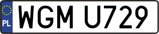 WGMU729