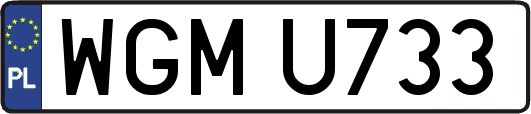 WGMU733