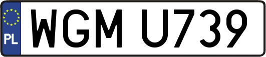 WGMU739