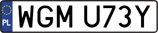 WGMU73Y