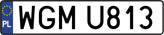 WGMU813