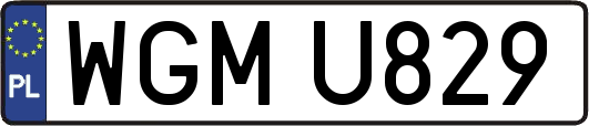 WGMU829