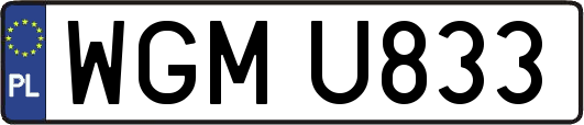 WGMU833
