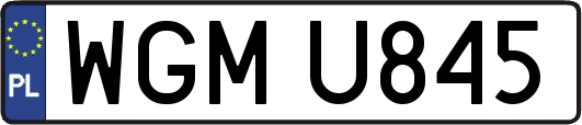 WGMU845