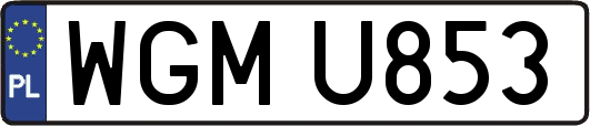 WGMU853