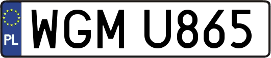 WGMU865
