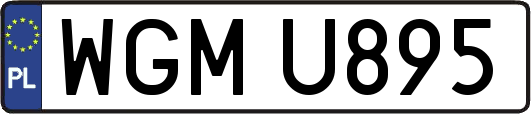 WGMU895