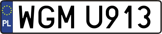 WGMU913
