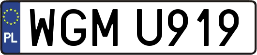 WGMU919