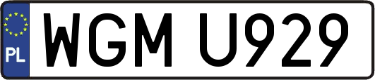 WGMU929
