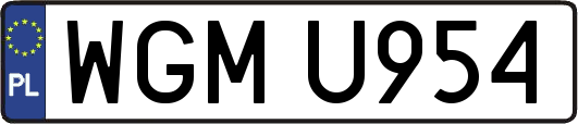 WGMU954