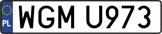 WGMU973