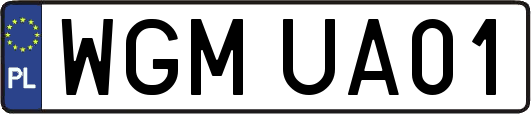 WGMUA01