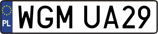 WGMUA29