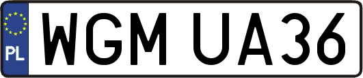 WGMUA36