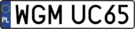 WGMUC65