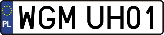 WGMUH01