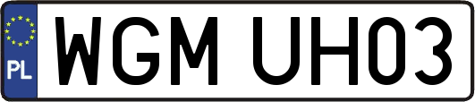 WGMUH03