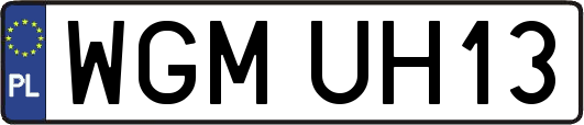 WGMUH13