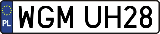 WGMUH28