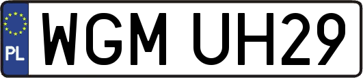 WGMUH29