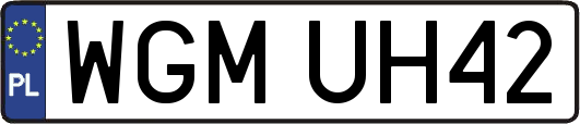 WGMUH42