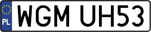 WGMUH53