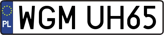 WGMUH65