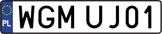 WGMUJ01