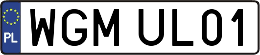 WGMUL01
