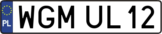WGMUL12