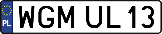 WGMUL13