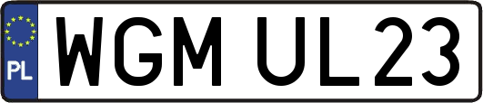 WGMUL23