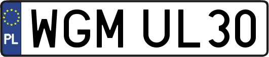 WGMUL30